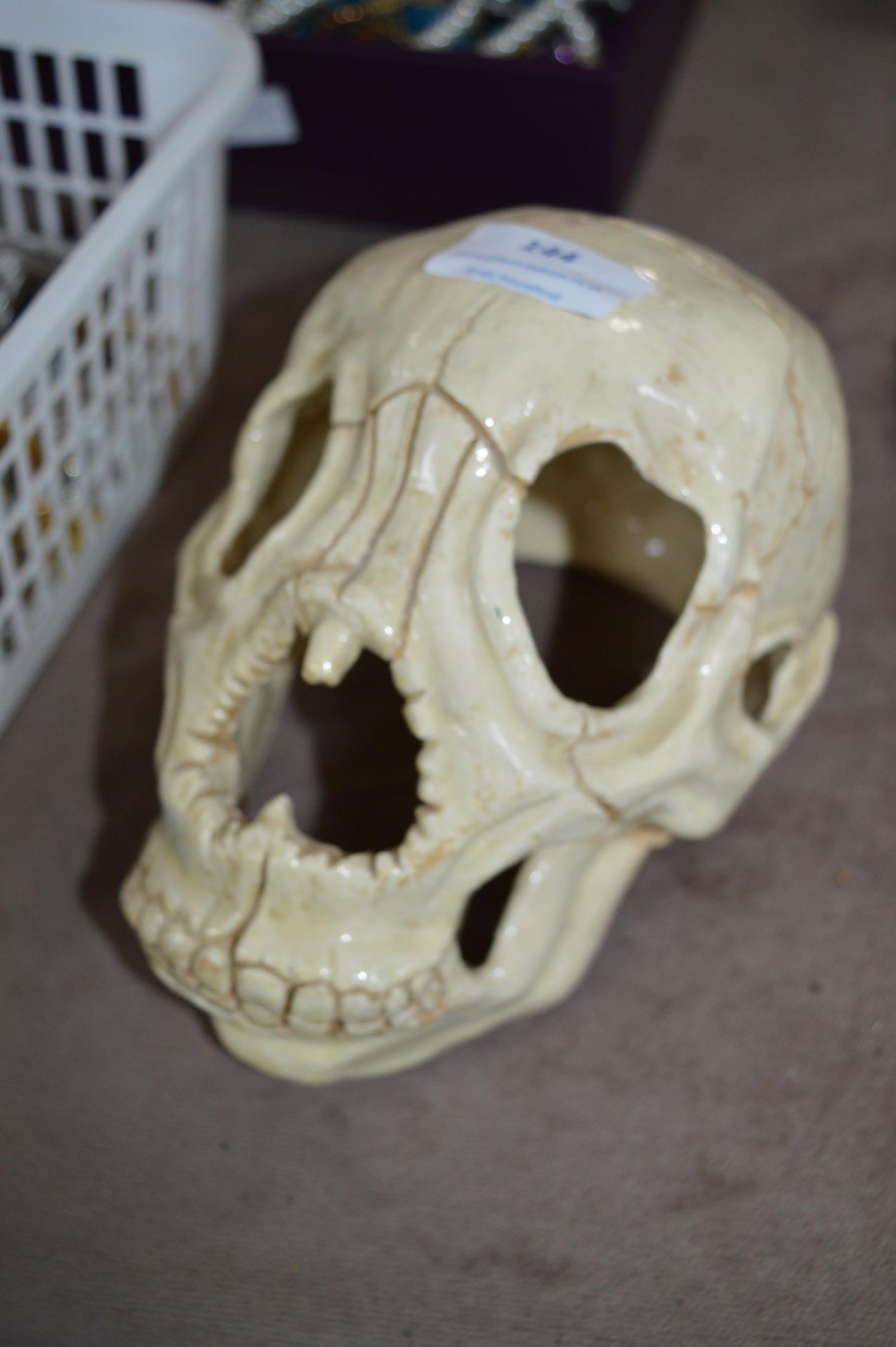 Ornamental Pottery Skull