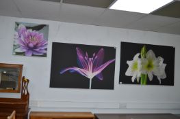 Three Canvas Flower Prints