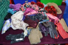 Ladies Scarves and Leather Gloves