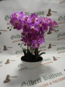 *Orchid Assortment In Pot