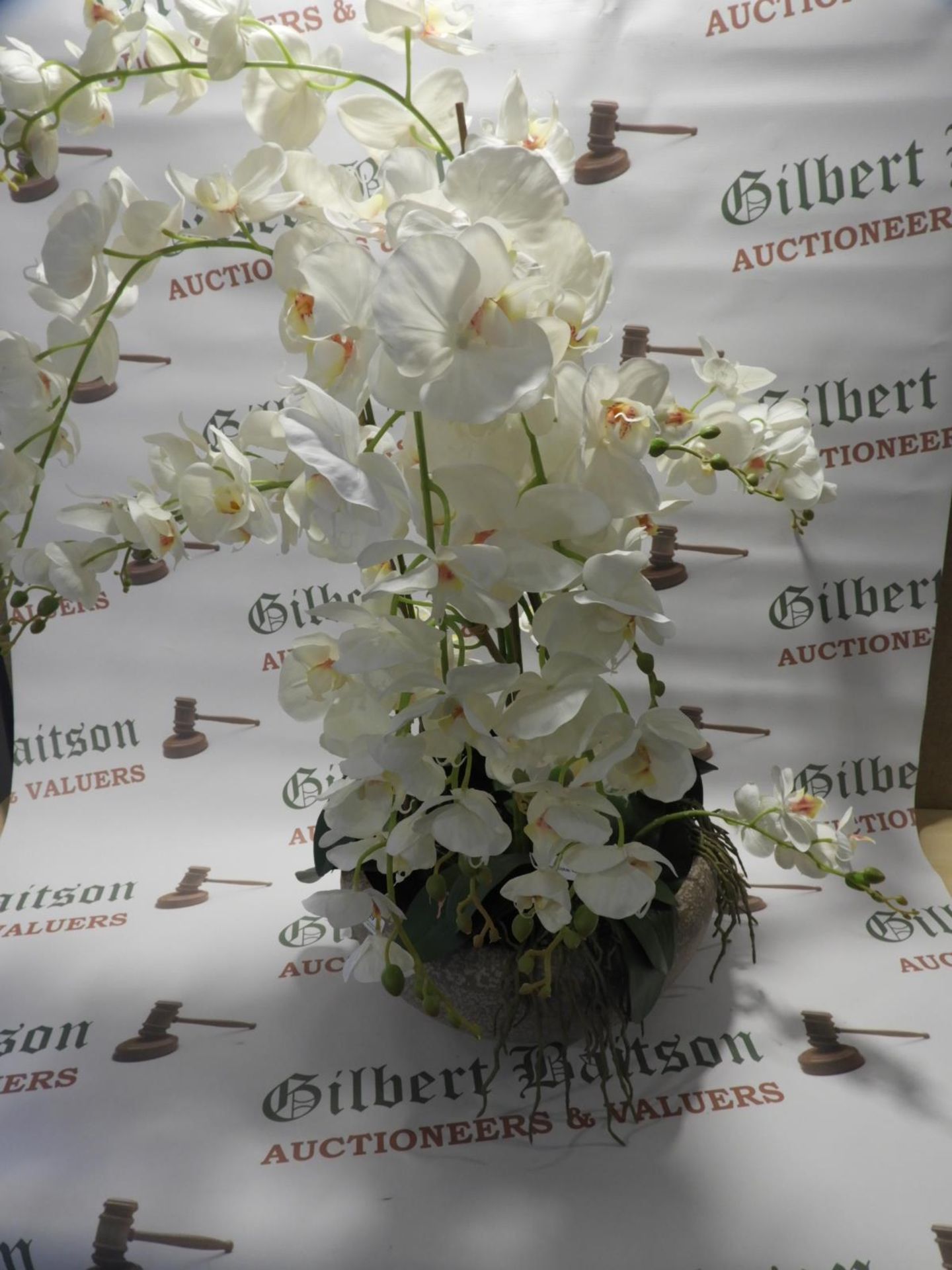 *White Orchid In Bowl