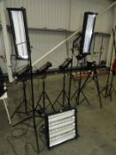 *Three Photographic Lights, Two SL255 and One SL855 Light Units