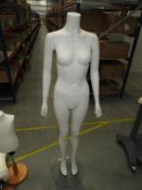 *Female Shop Mannequin