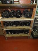 *Wooded Storage Rack Containing 22 Commercial Vehicle Alternators