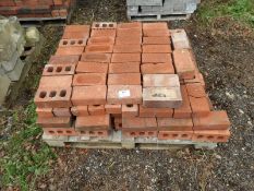 *Pallet of Clay House Bricks