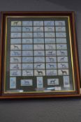 Framed Cigarette Cards - Racing Greyhounds