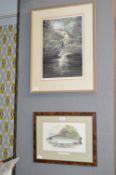 Two Framed Trout Prints