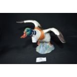 Beswick Shelduck