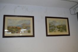 Two Victorian Print - Highland Cattle in Period Oak Frames