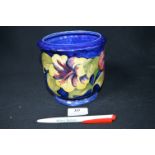 Moorcroft Hibiscus Pattern Plant Pot on Blue Ground