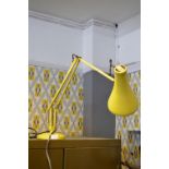 Anglepoise Office Lamp
