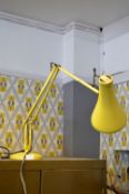 Anglepoise Office Lamp