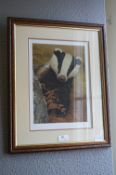 Signed Robert Fuller Limited Edition Print - Badger