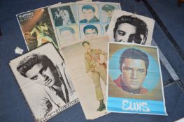 Elvis Posters
