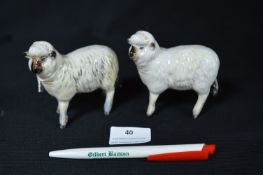 Pair of Beswick Sheep
