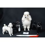 Four Beswick Poodles