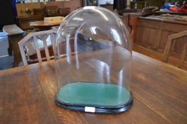 Victorian Glass Dome with Ebonised Base