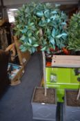 *Artificial Bay Tree in Planter