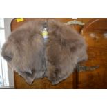 Fur Stole by Michael Ltd, 49 Anlaby Road, Hull