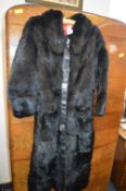 1970's Black Cony Fur Coat ~Size: 10