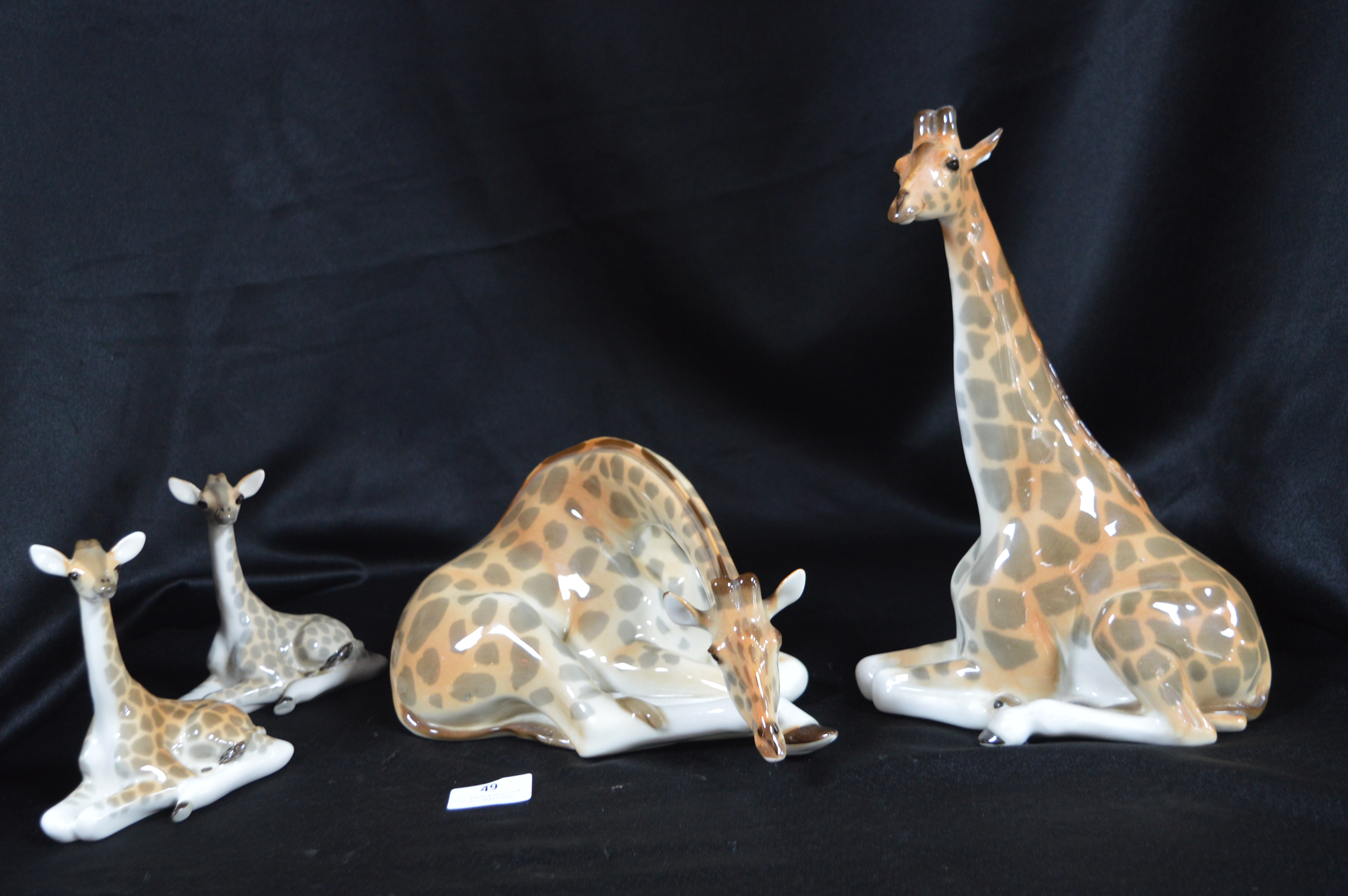 Four Russian Giraffes