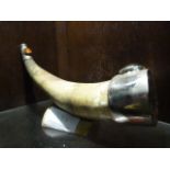 Johnstone Collection: Decorative Horn with Metal Mountings