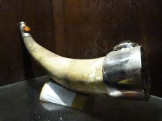 Johnstone Collection: Decorative Horn with Metal Mountings