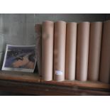 Thirteen Tubes of Limited Edition Posters of Beverleys Over Kilimanjaro
