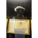 Glass Display Cabinet Containing Bust of Charles I and Replica Warrant of Execution