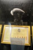 Glass Display Cabinet Containing Bust of Charles I and Replica Warrant of Execution