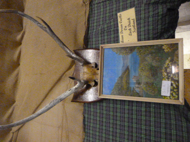 Johnstone Collection: Oil Painting of Eileen Doran Castle, and a Mounted Pair of Antlers