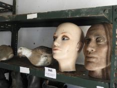 Two Mannequin Heads and Two Decoy Pigeons
