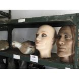 Two Mannequin Heads and Two Decoy Pigeons