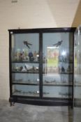 Large Ebonised Glazed Display Cabinet Enclosed by Double Doors