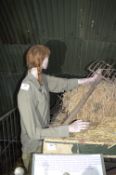 Female Mannequin Depicting a Land Girl with Sugar Beet Fork