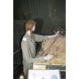 Female Mannequin Depicting a Land Girl with Sugar Beet Fork