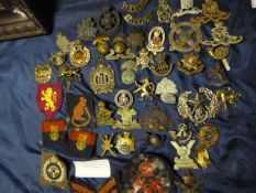 Job Lot of Cap Badges and Cloth Badges