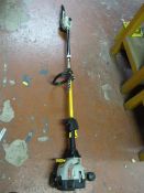 Ryobi Petrol Drive with Expand-It Pruner UT15520A