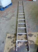 Fourteen Tread Wooden Ladder