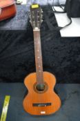 Viva Acoustic Guitar (AF)