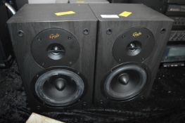 Pair of Gale Audio Speakers