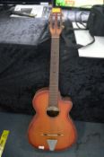 Spanish Acoustic Guitar