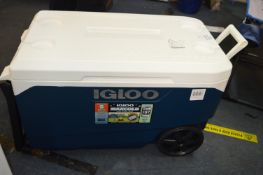 *Igloo 90qt Cooler