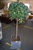 *Artificial Bay Tree in Pot