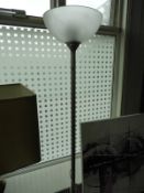 Brushed Steel Standard Lamp with Glass Shade