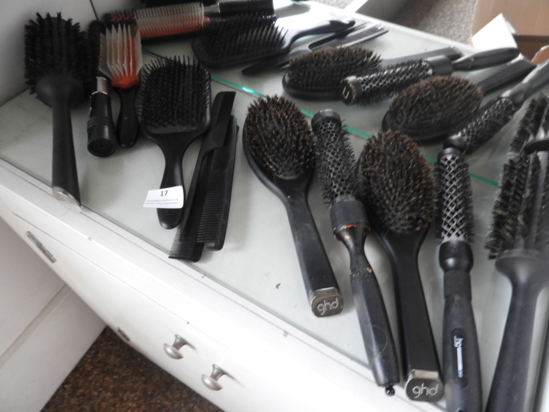 *Ten Assorted Stylist's Brushes and Combs