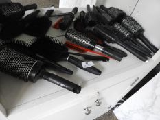 *Ten Assorted Stylist's Brushes and Combs