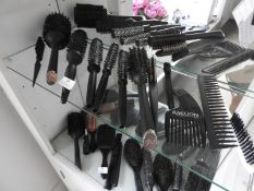 *Ten Assorted Stylist's Brushes and Combs