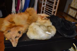 Fox Stole and Three Fur Hats