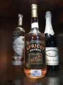 Vintage Bottles of Bols Apricot Brandy, Bicardi and Grand Mousseux